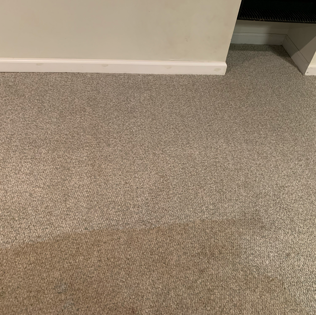 Carpet Cleaning Media | 855 Concord Rd, Glen Mills, PA 19342 | Phone: (610) 544-4252