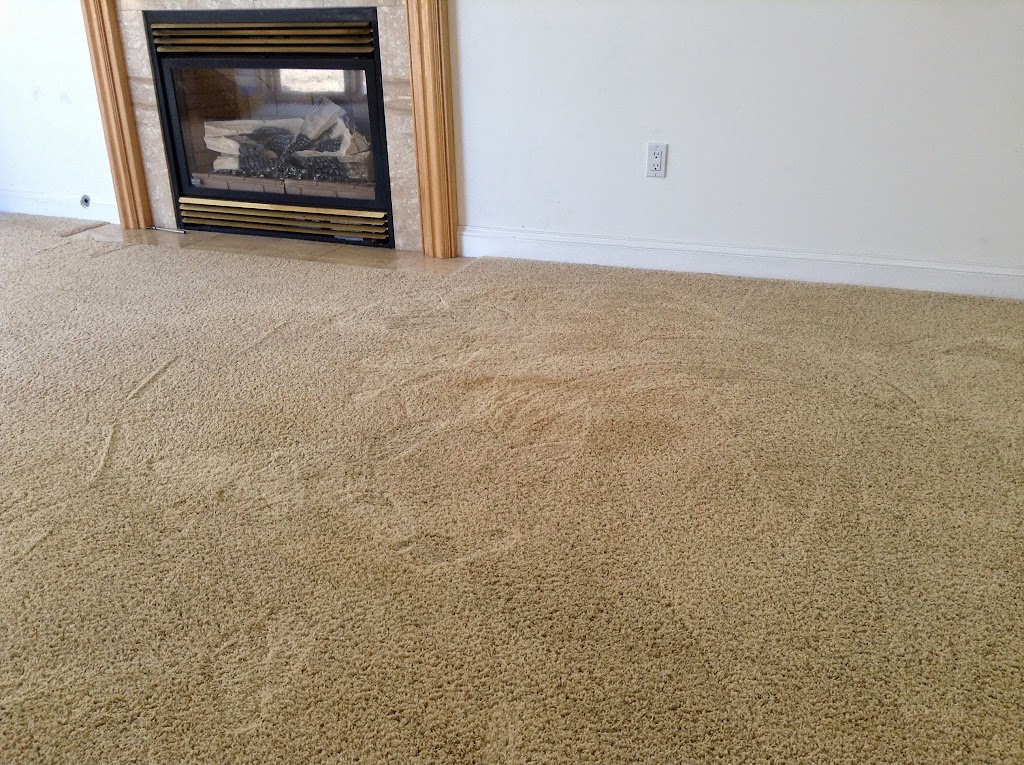 Oceanside Carpet Steamers | 39 Hannah Lee Rd, Barnegat, NJ 08005 | Phone: (609) 661-3269