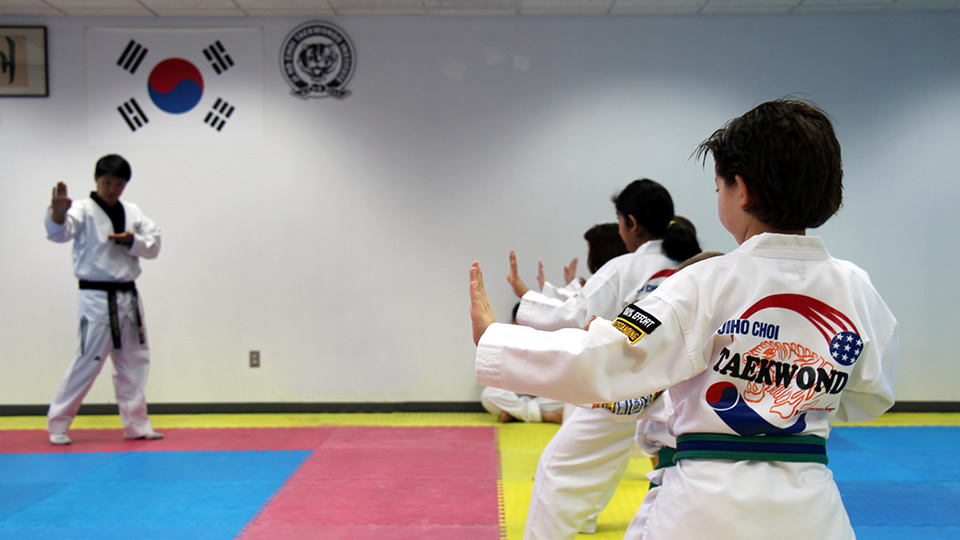 JiHo Choi TKD Institute | 432-B U.S. 202 206 North, Bedminster, NJ 07921 | Phone: (201) 638-8393