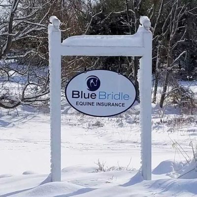 Blue Bridle Insurance Inc | 654 County Rd 513, Pittstown, NJ 08867 | Phone: (800) 526-1711