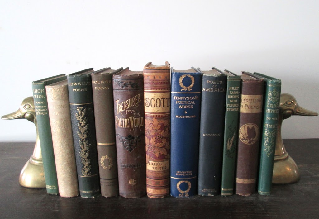 Popeks Used & Rare Books | 356 Main St, Otego, NY 13825 | Phone: (607) 431-8764