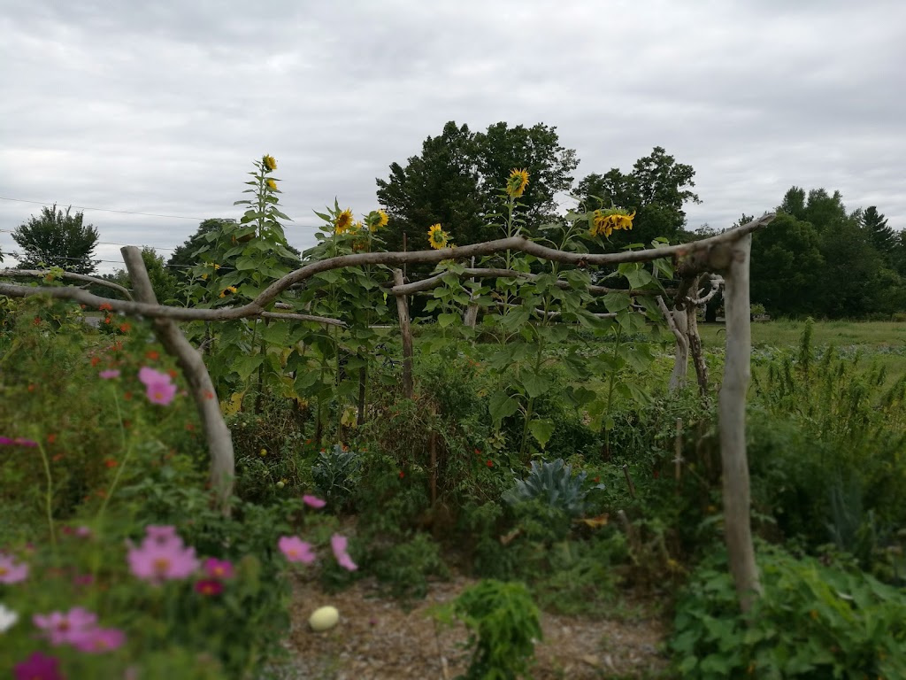 Grow Food Northampton Organic Community Garden | 140 Meadow St, Northampton, MA 01062 | Phone: (413) 320-4799