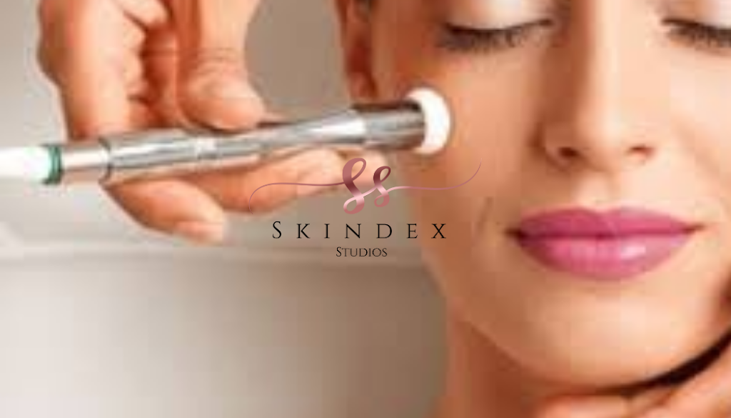 Skindex Studios | 155 South St, Freehold, NJ 07728 | Phone: (908) 603-7897