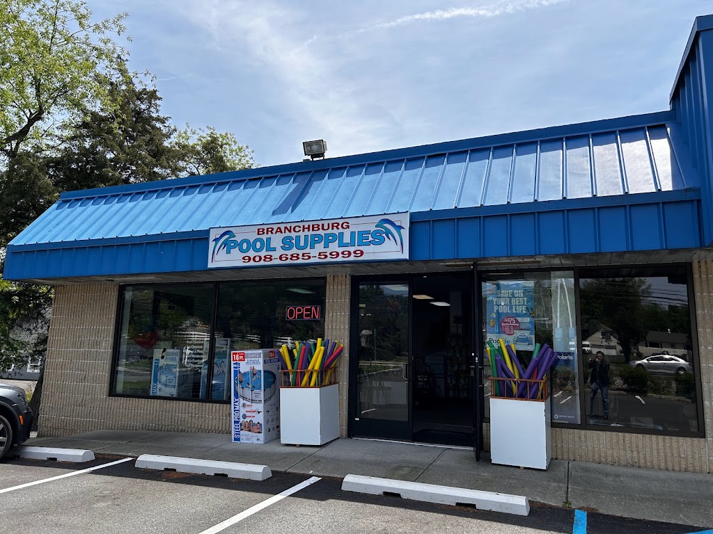 Branchburg Pool Supplies | 1035 US-202 North, Branchburg, NJ 08876 | Phone: (908) 685-5999