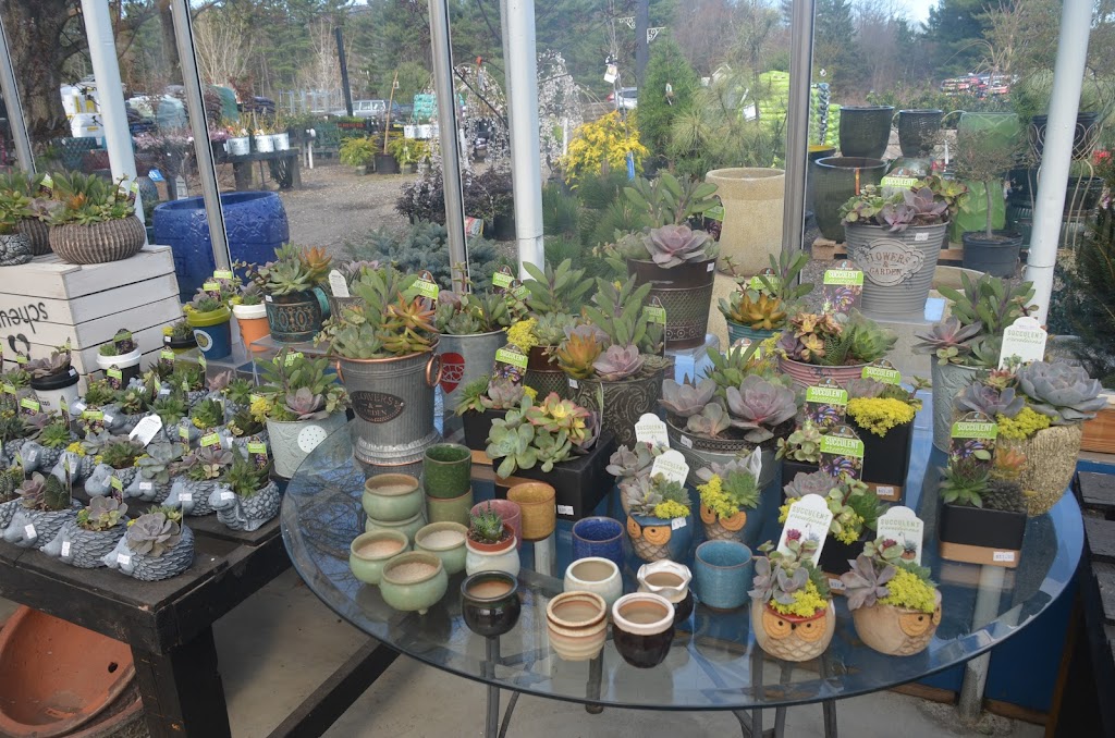 Larsons Garden Center, LLC | 26 Covey Rd, Burlington, CT 06013 | Phone: (860) 404-5747