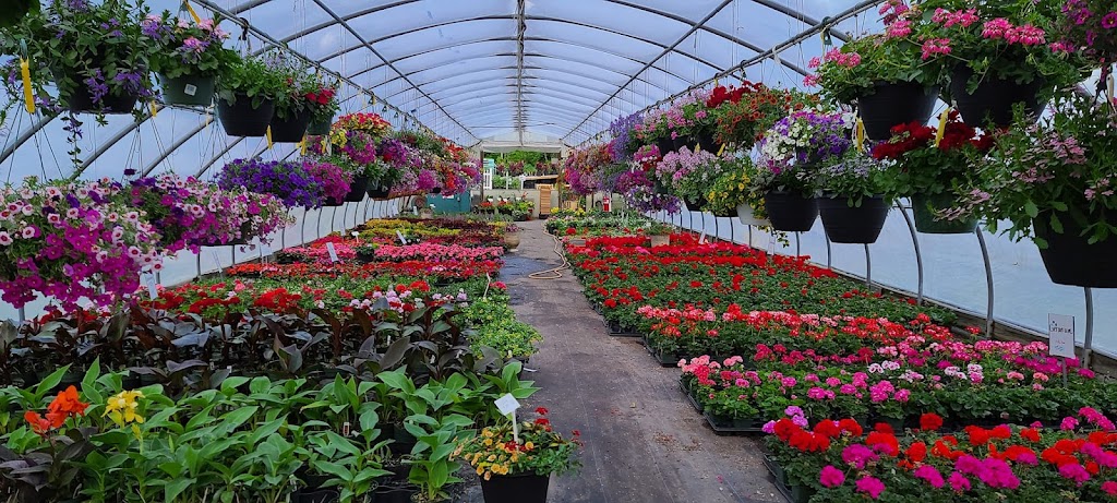 Shoreline Garden Center | 31-A Old Post Rd, Clinton, CT 06413 | Phone: (860) 669-0765