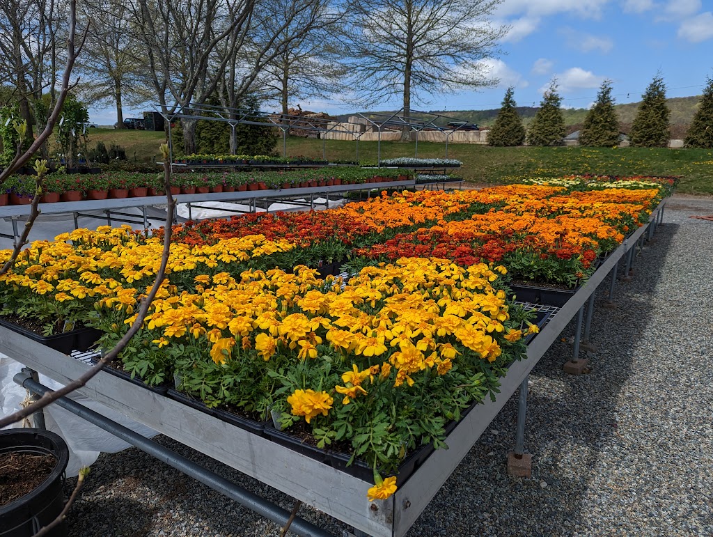 Donaldson Greenhouse & Nursery | 178 Airport Rd, Hackettstown, NJ 07840 | Phone: (908) 852-7314