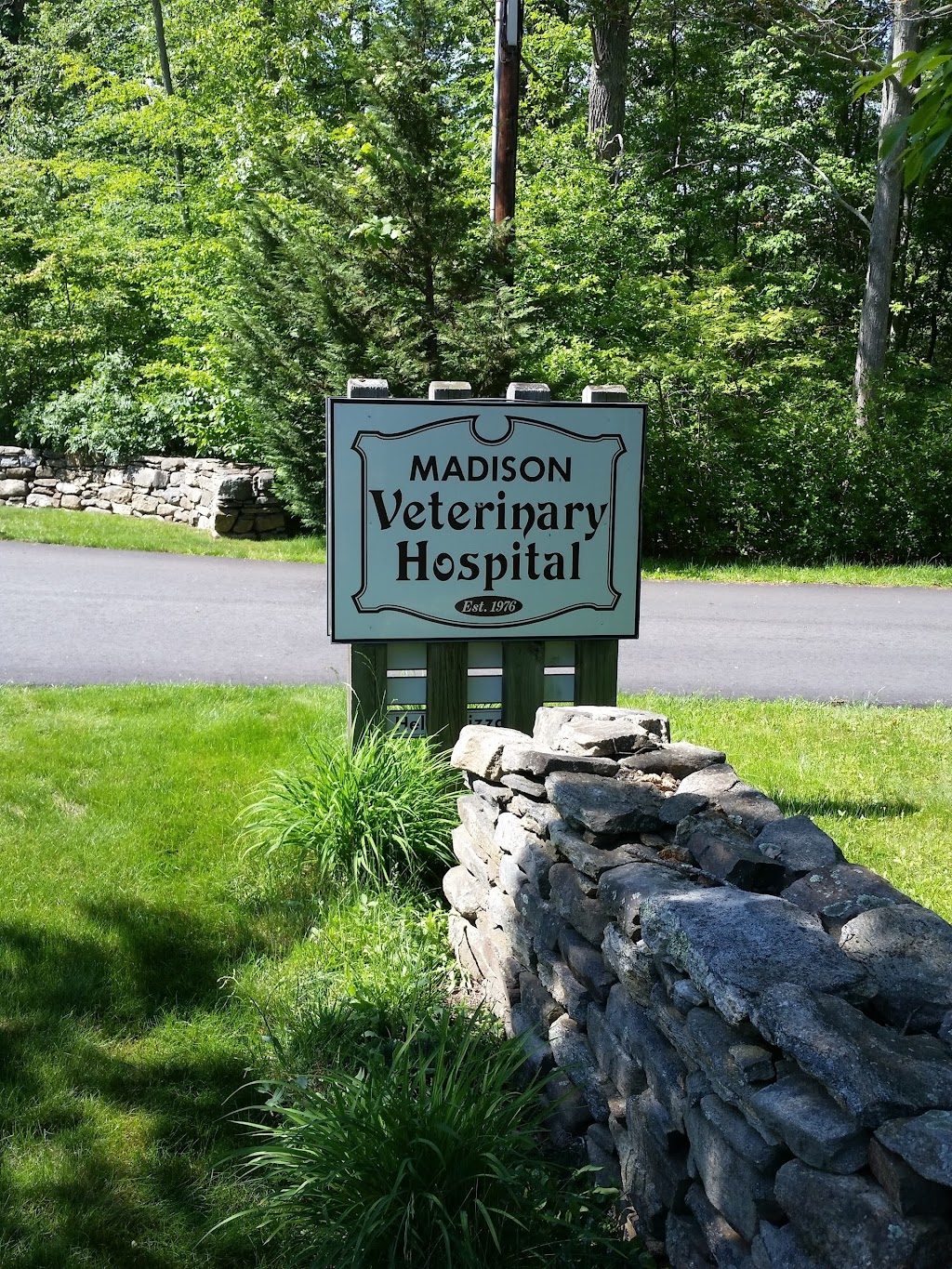 Madison Veterinary Hospital | 1260 Durham Rd, Madison, CT 06443 | Phone: (203) 421-3300