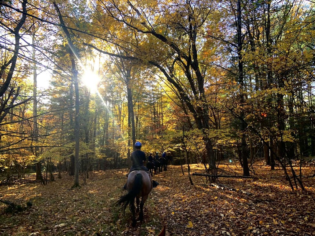 K&K Equestrian Center at Ravine Farm | 5203 Co Rd 67, East Durham, NY 12423 | Phone: (518) 966-4829