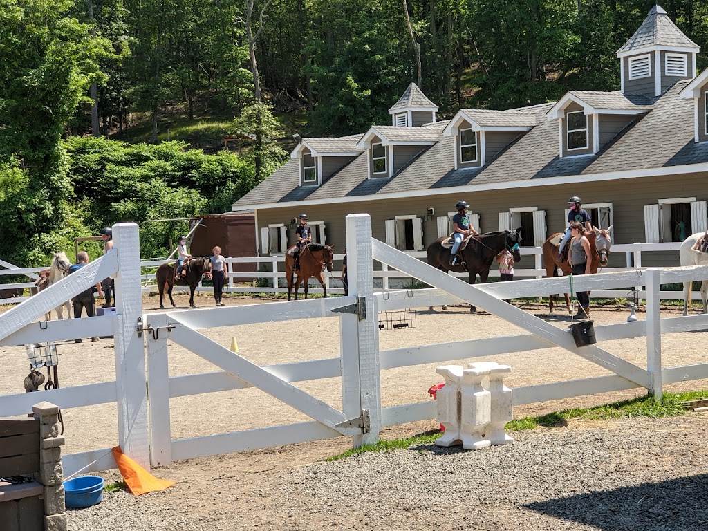 Sky Blue Stables | 52 Montrose Station Rd, Cortlandt, NY 10567 | Phone: (914) 879-5841