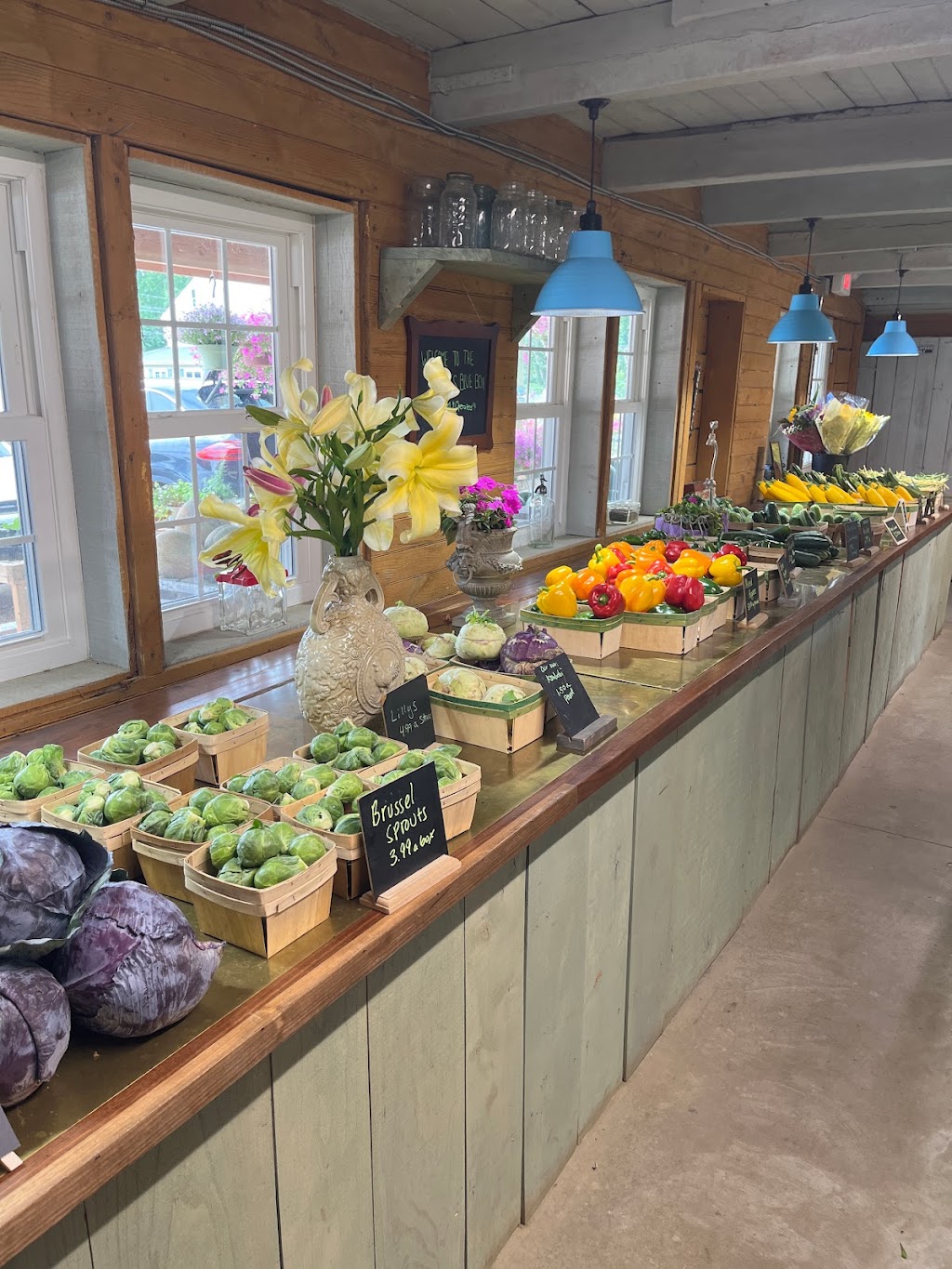 Durrs Bluebox Produce | 297 Monmouth Rd, Wrightstown, NJ 08562 | Phone: (609) 410-8201