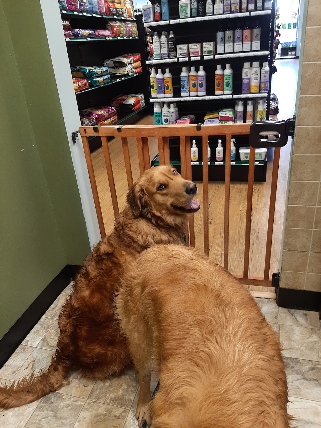 EarthWise Pet Supply & Grooming Voorhees | 154 NJ-73, Voorhees Township, NJ 08043 | Phone: (856) 767-7387