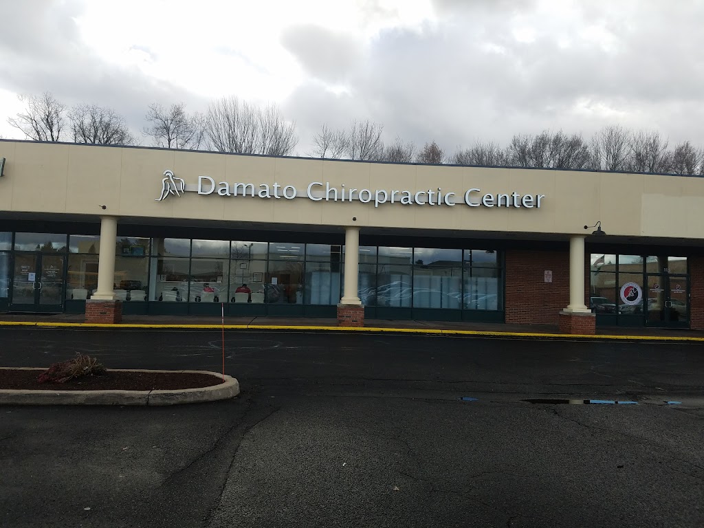 Damato Chiropractic Center | 123 Lowrey Pl, Newington, CT 06111 | Phone: (860) 436-2065