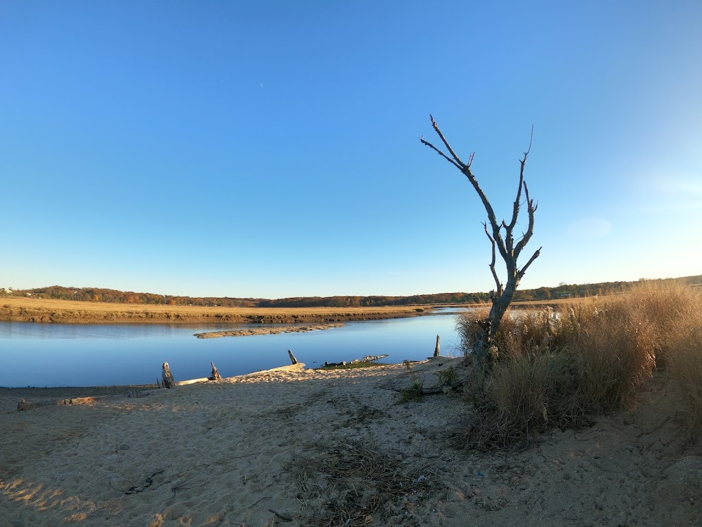 Jerome A. Ambro Memorial Wetland Preserve | Fort Salonga, NY 11768 | Phone: (631) 351-3000
