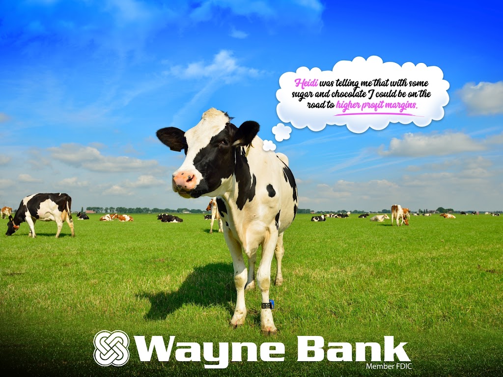 Wayne Bank | 1 Churchill Ave, Stamford, NY 12167 | Phone: (607) 652-7545