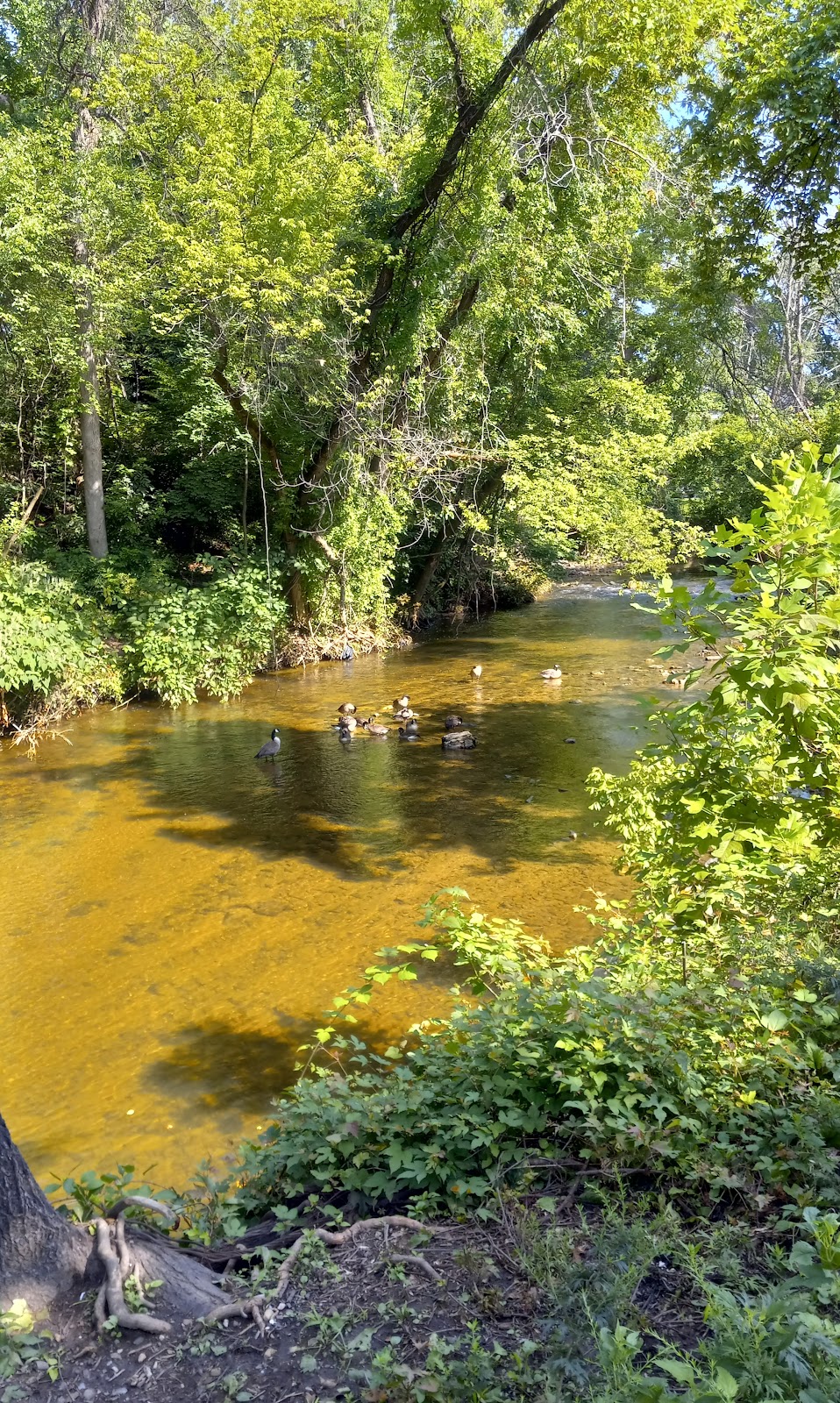 Darby Creek Trail | 600 Glendale Rd, Havertown, PA 19083 | Phone: (484) 380-2730