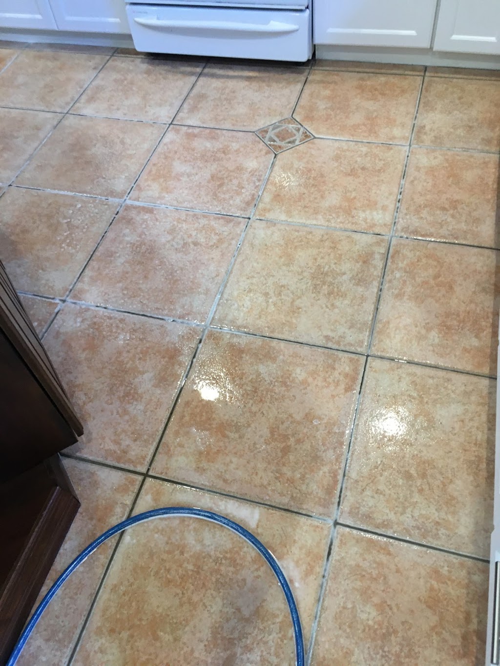 New Jersey’s Best Carpet & Tile Cleaning | 416 Crestview Terrace, Brick Township, NJ 08723 | Phone: (732) 800-9866