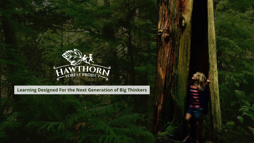 Hawthorn Forest Programs | 5284 Sound Ave, Riverhead, NY 11901 | Phone: (631) 812-5544