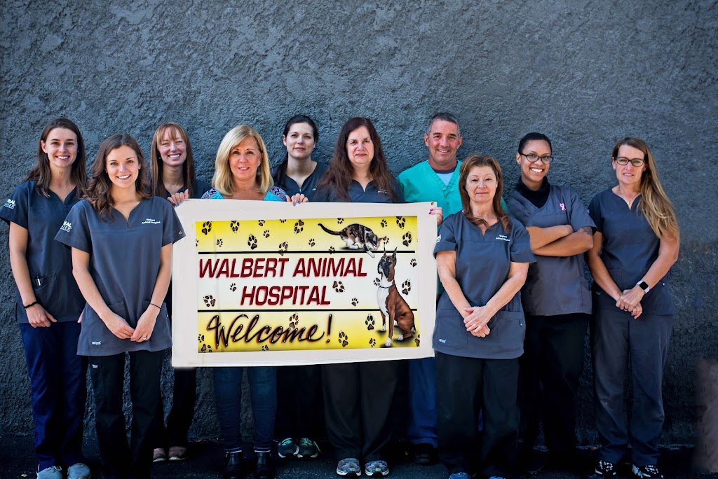 Walbert Animal Hospital | 2061 Walbert Ave, Allentown, PA 18104 | Phone: (610) 434-7469