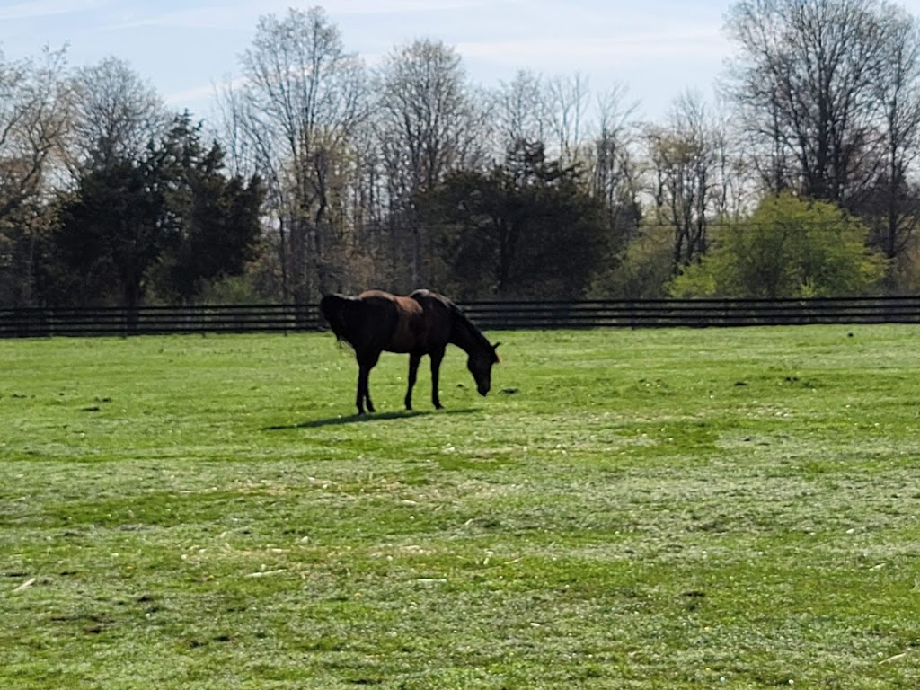 Mercer Meadows Equestrian Center | 431 Federal City Rd # B, Pennington, NJ 08534 | Phone: (609) 730-9059