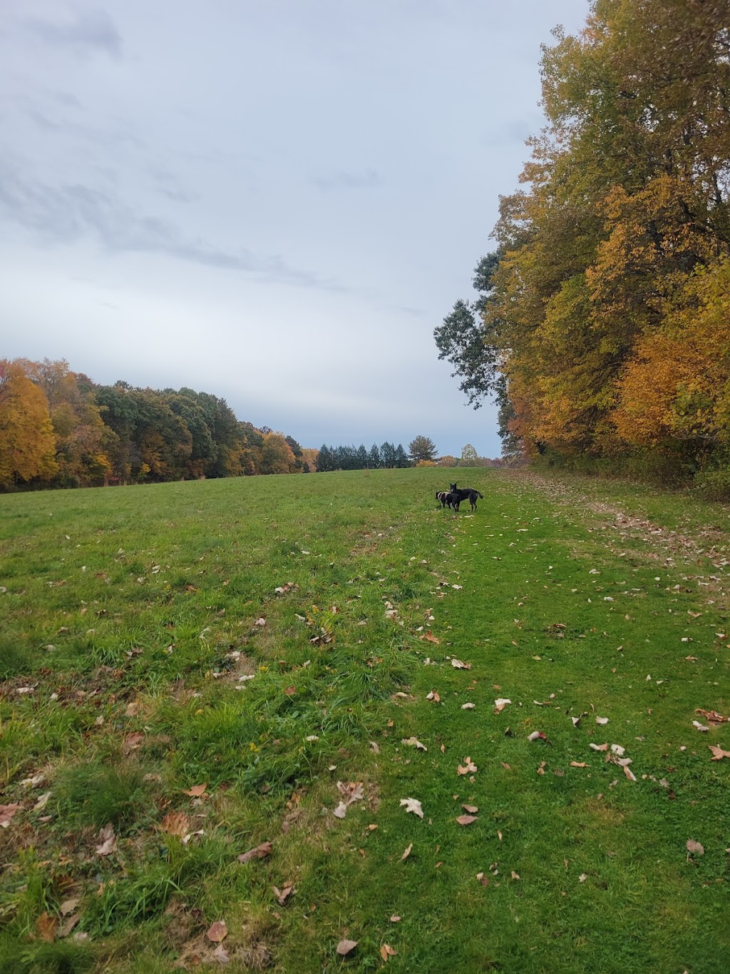 Eriksen Farm Open Space | 8 Nabby Rd, Brookfield, CT 06804 | Phone: (203) 775-7316