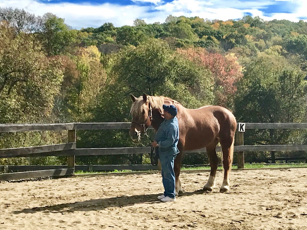 Endeavor Therapeutic Horsemanship, Inc. | 556 Croton Lake Rd, Mt Kisco, NY 10549 | Phone: (914) 241-0211