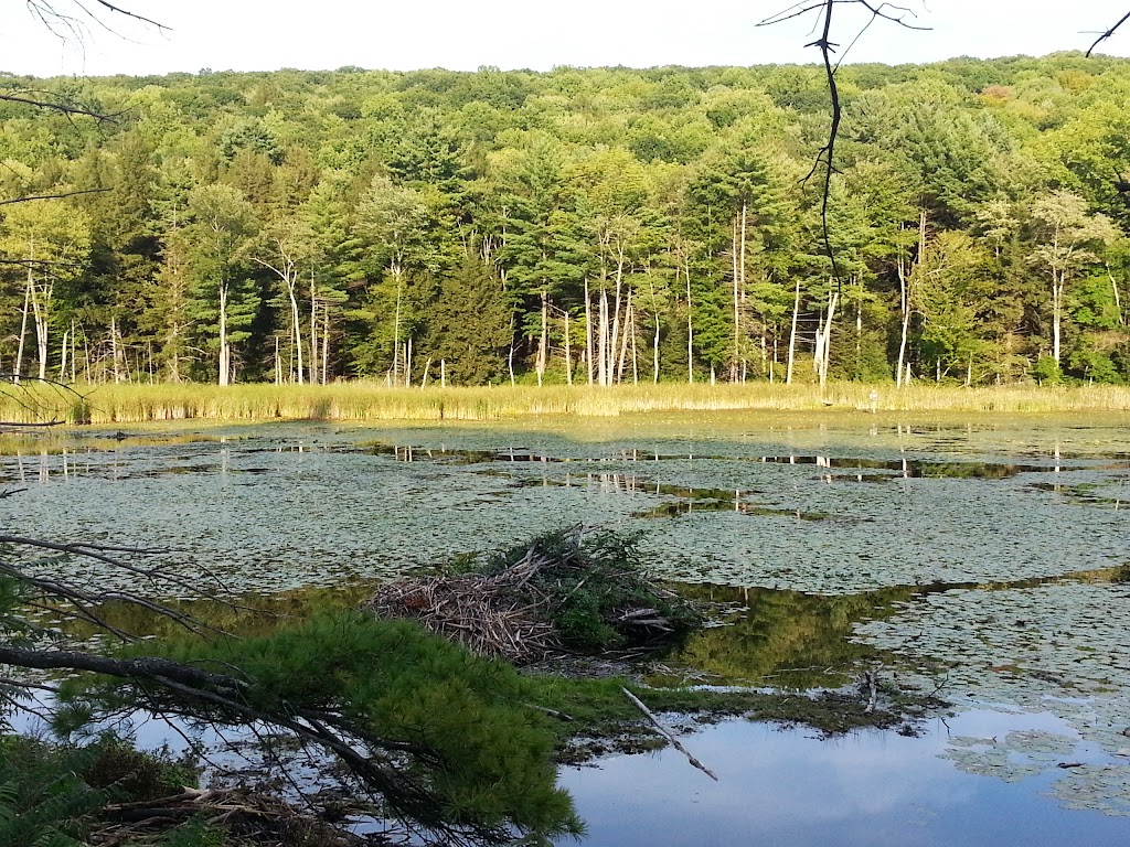 Fountain Pond State Park | US-7, Great Barrington, MA 01230 | Phone: (413) 532-3985