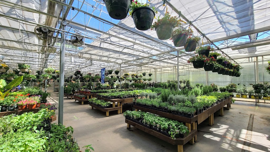 The Garden Barn Nursery & Landscape | 228 West St, Vernon, CT 06066 | Phone: (860) 872-7291