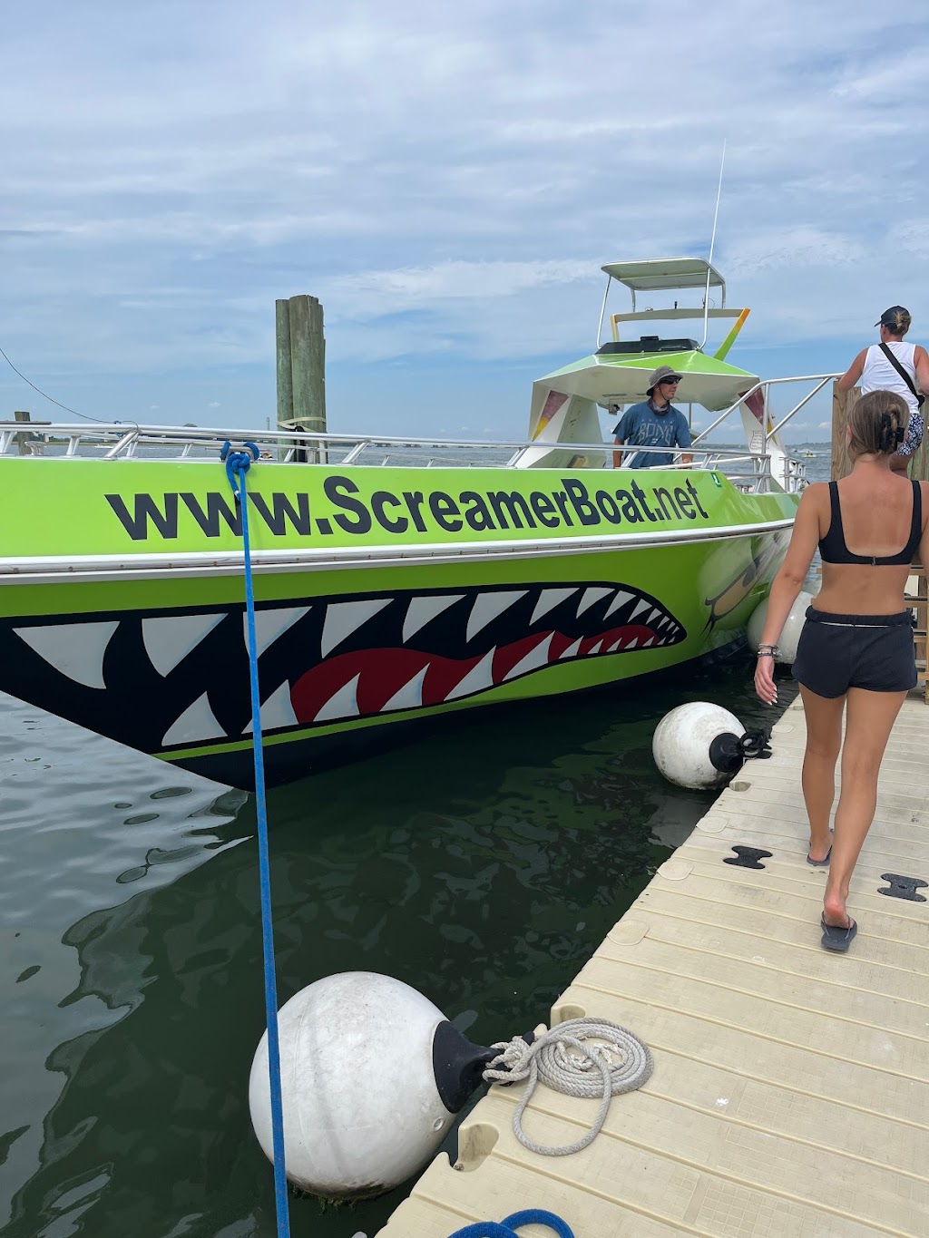 Screamer Speedboat & Dolphin Watch | 244 Bay Ave, Ocean City, NJ 08226 | Phone: (609) 398-5800