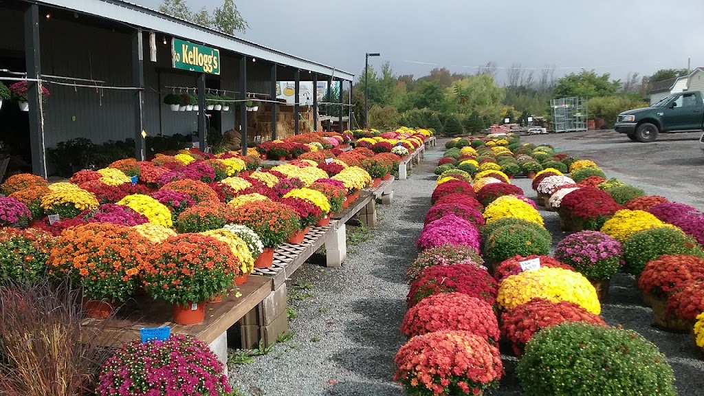 Paul Kelloggs Garden Center | PA-590 & Sawmill Rd, 377 PA-590, Lake Ariel, PA 18436 | Phone: (570) 689-7912