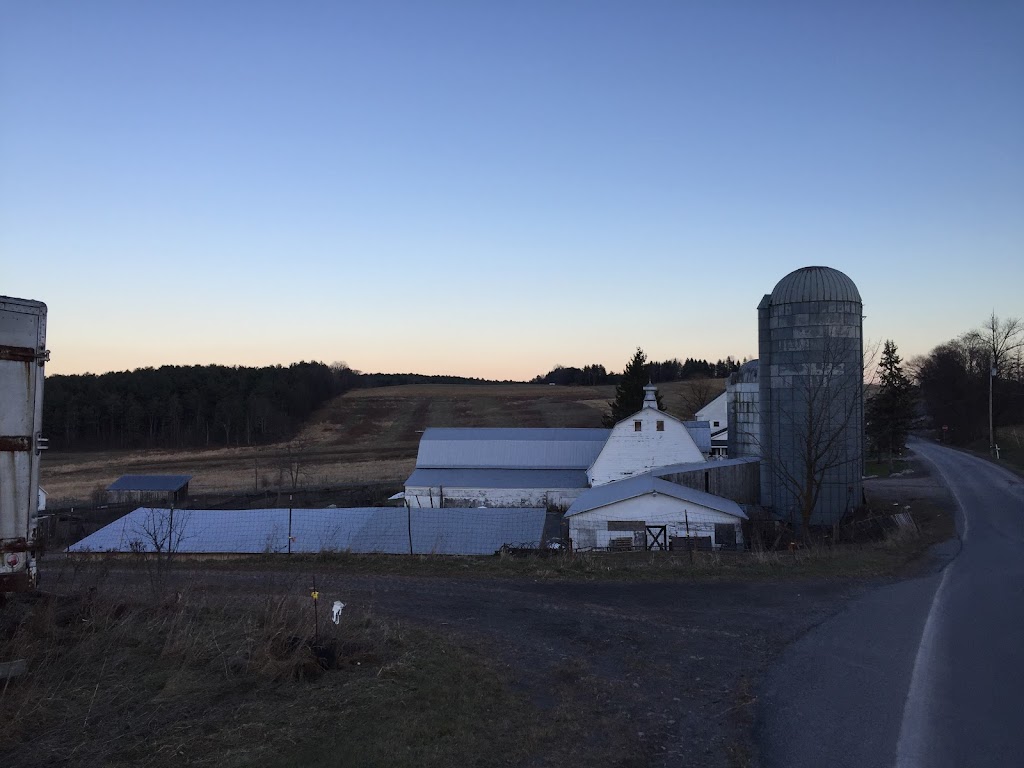 Hull-O Farms | 10 Cochrane Rd, Durham, NY 12422 | Phone: (518) 239-6950