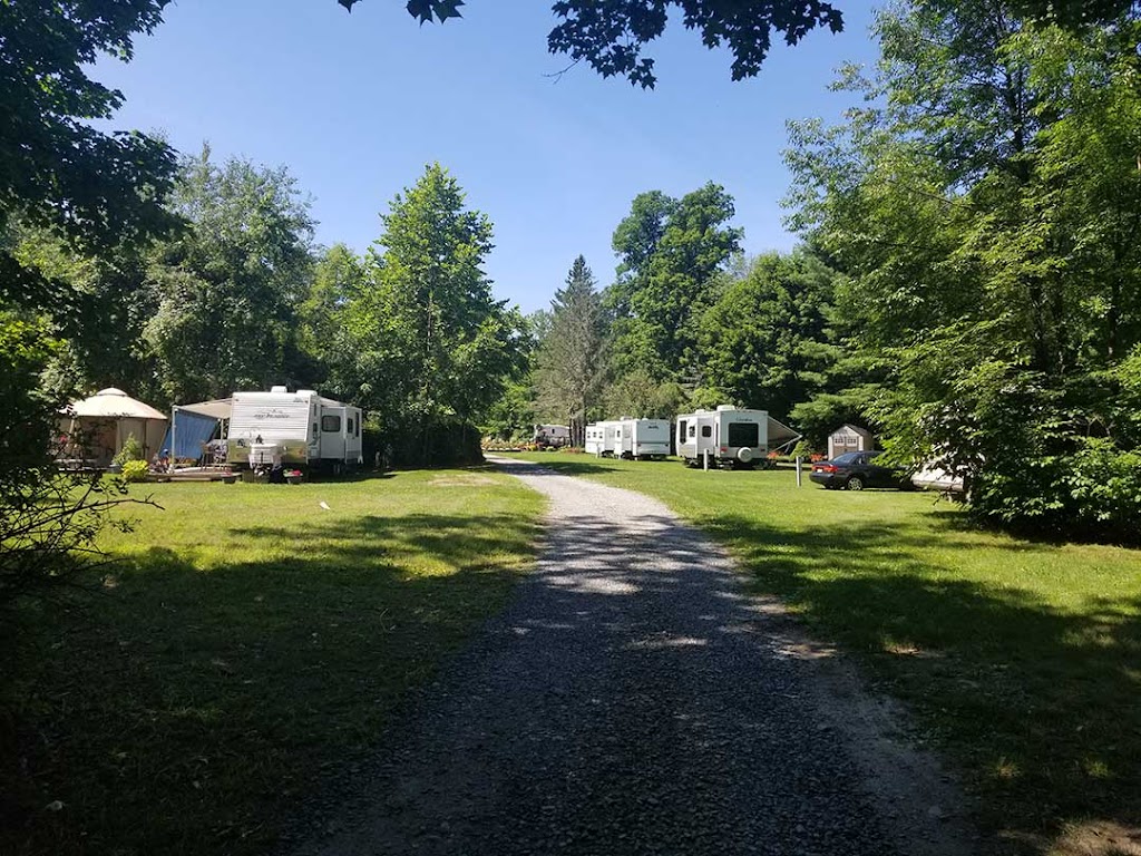 Spring Glen Campgrounds Inc | 108 Lewis Rd, Spring Glen, NY 12483 | Phone: (917) 299-3946