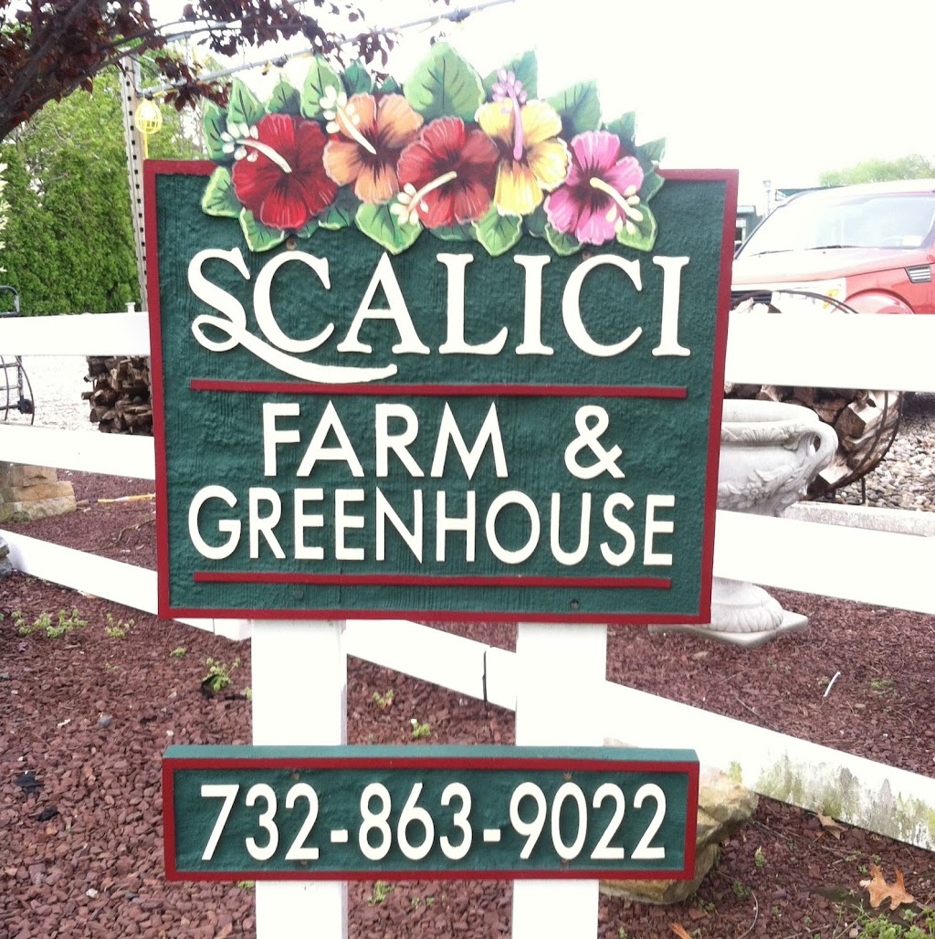 Scalici Farm & Greenhouses | 634 Colts Neck Rd, Freehold, NJ 07728 | Phone: (732) 863-9022
