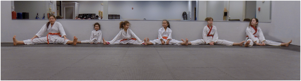 Frys Karate | 145 Windsor Hwy #209, New Windsor, NY 12553 | Phone: (845) 565-4729