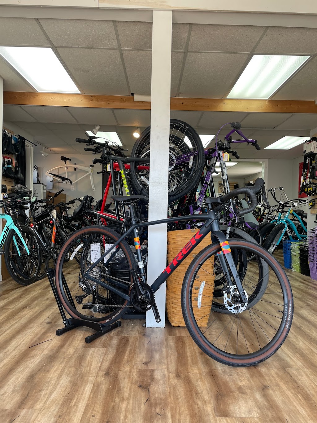 Shore Brake Cyclery | 3801 Long Beach Blvd, Brant Beach, NJ 08008 | Phone: (609) 342-0480