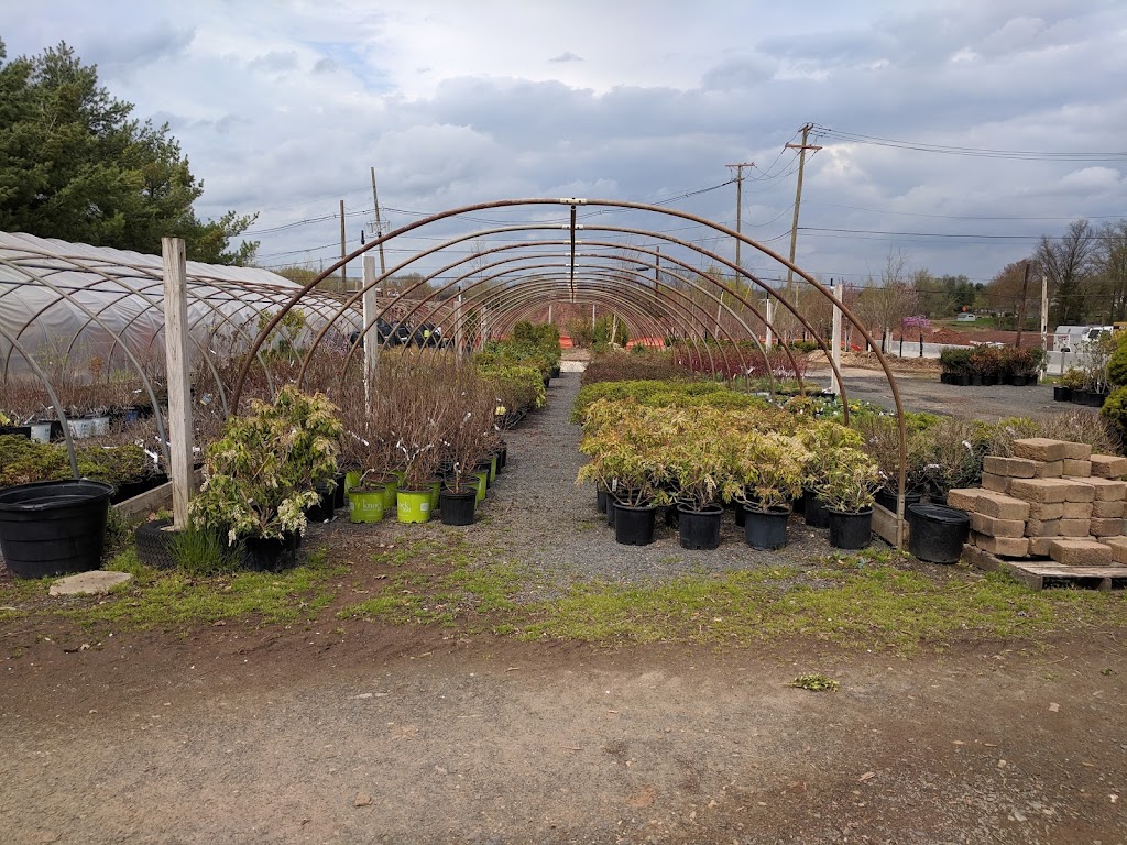 Central Jersey Nurseries | 18 Hamilton Rd, Hillsborough Township, NJ 08844 | Phone: (908) 359-4652