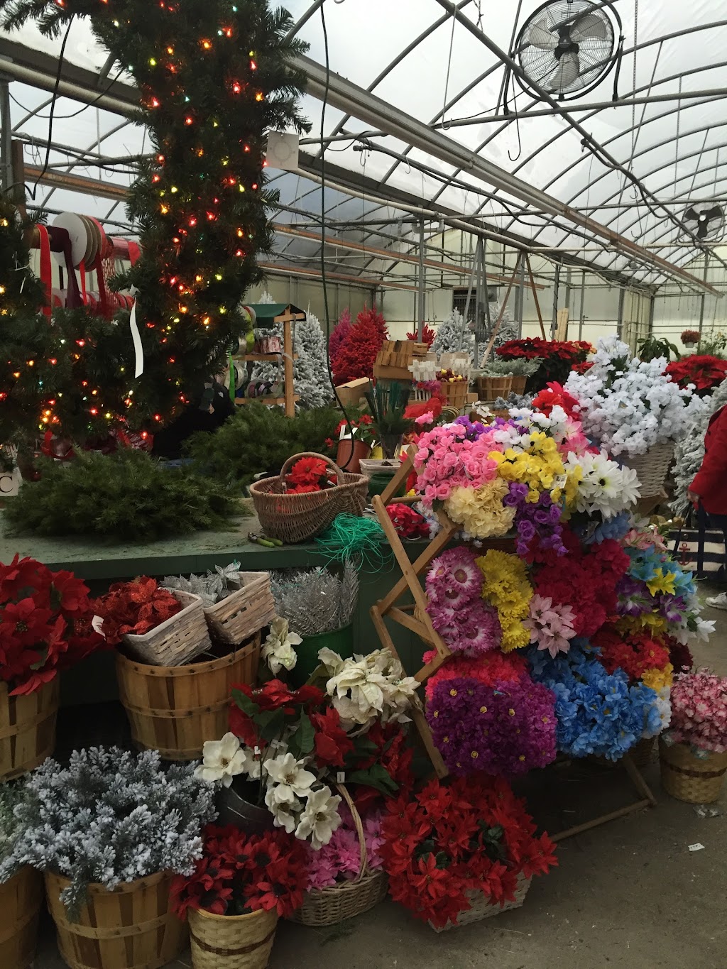 Vincentown Garden Center | 127 County Rd 530, Southampton Township, NJ 08088 | Phone: (609) 267-8708