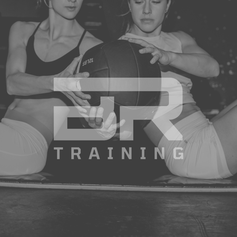 BR Training | 149 E Dark Hollow Rd, Pipersville, PA 18947 | Phone: (215) 421-6003