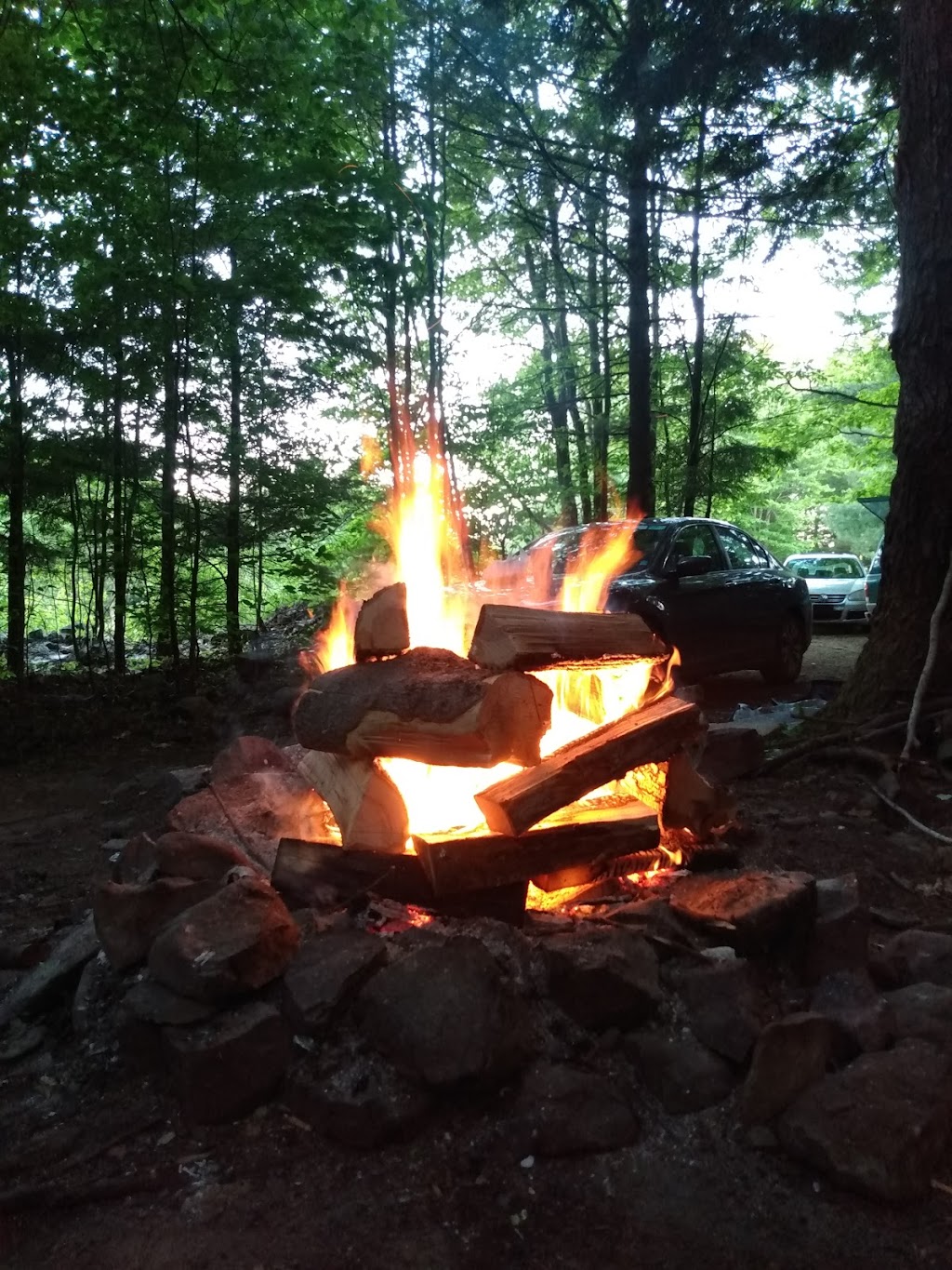 Country Roads Campground | 144 Peaceful Ln, Gilboa, NY 12076 | Phone: (518) 827-6397