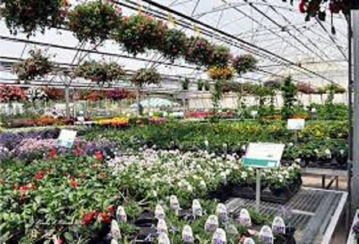 A J Vicino & Sons Nursery | 259 New Britain Ave, Rocky Hill, CT 06067 | Phone: (860) 529-1304