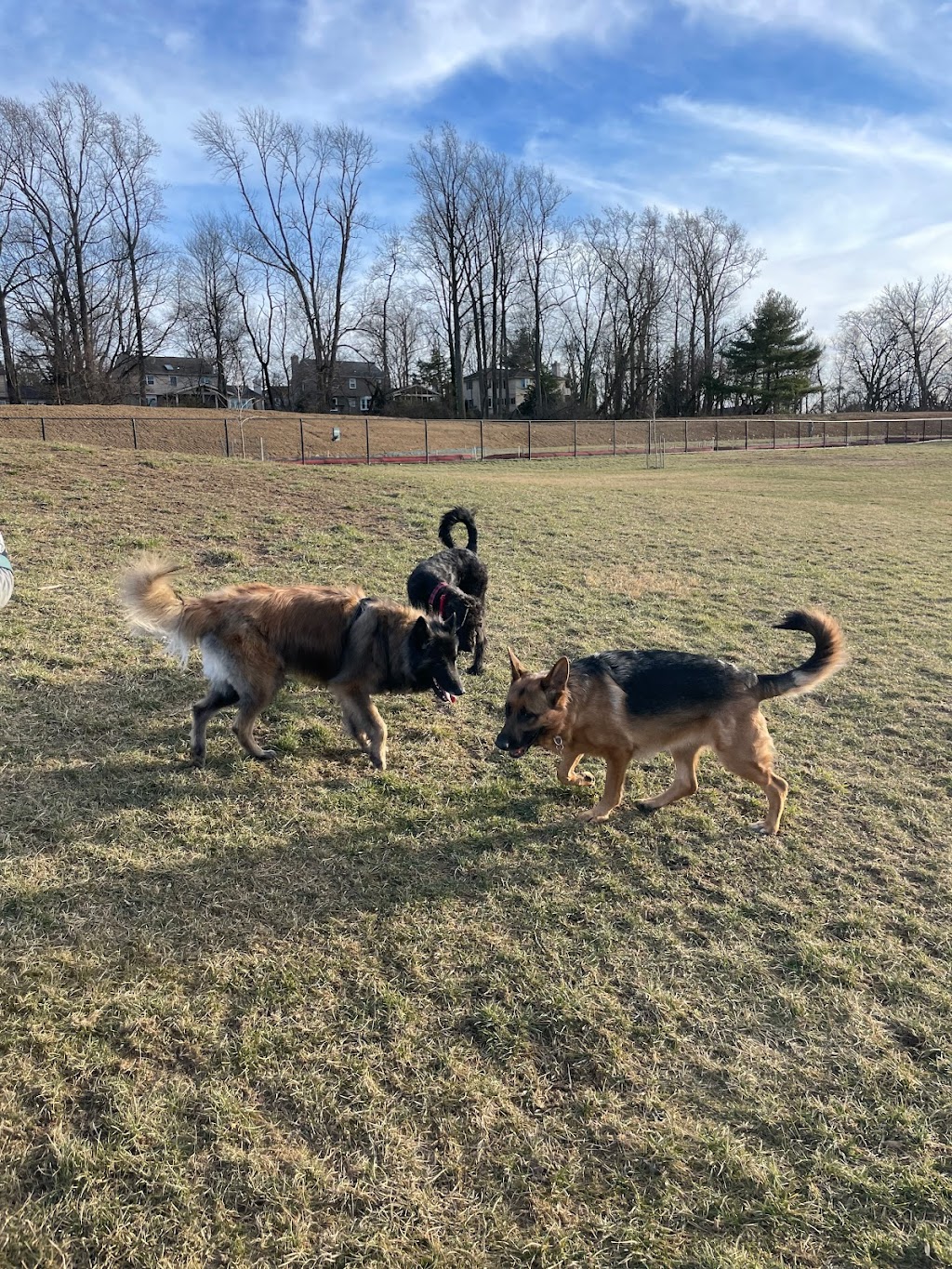 Twining Valley Dog Park | 4VV2+J6, Dresher, PA 19090 | Phone: (215) 643-1600