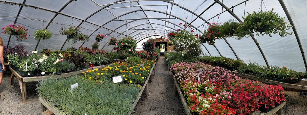 Good Earth Nursery-Greenhouse | 257 County Road #539, Cream Ridge, NJ 08514 | Phone: (609) 758-7500