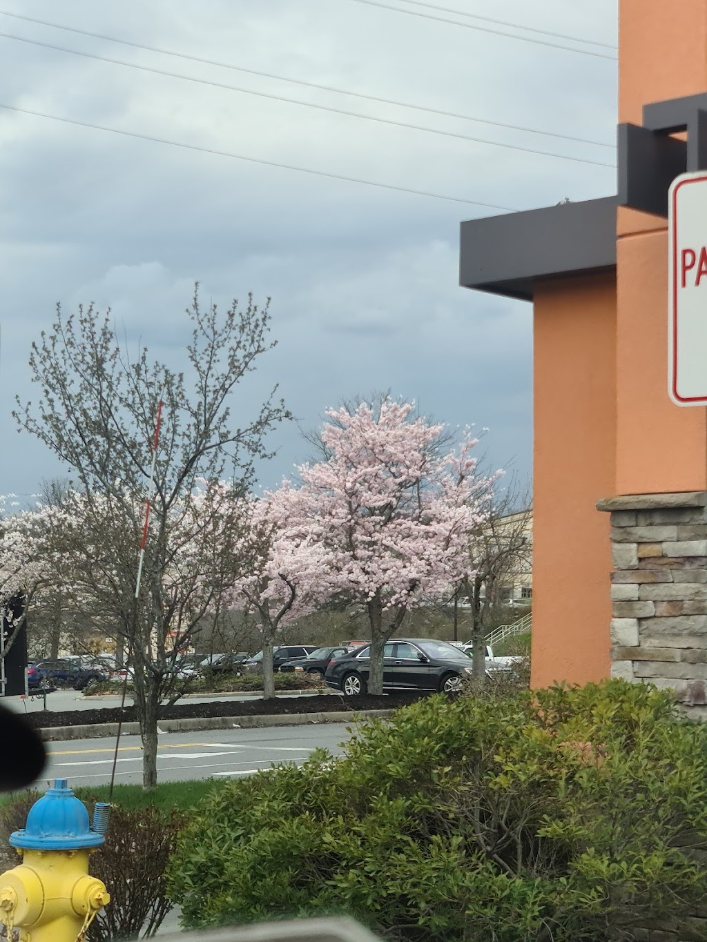 KFC | 330 Larkin Dr, Monroe, NY 10950 | Phone: (845) 783-9992