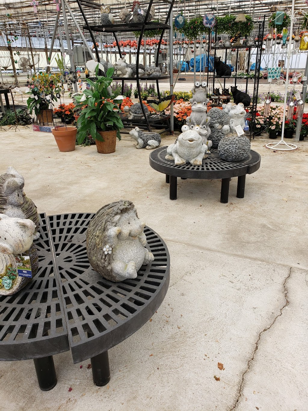 Comiskys Greenhouses Inc. | 115 Manlove Ave, Hightstown, NJ 08520 | Phone: (609) 448-1705