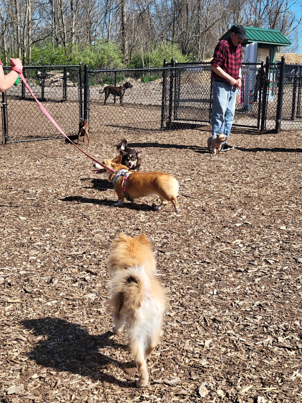 The Enfield Dog Park | Ecology Dr, Enfield, CT 06082 | Phone: (860) 394-6213
