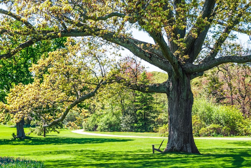 Sterling Tree & Lawn Service | 1212 Speonk Riverhead Rd, Speonk, NY 11972 | Phone: (631) 283-0906