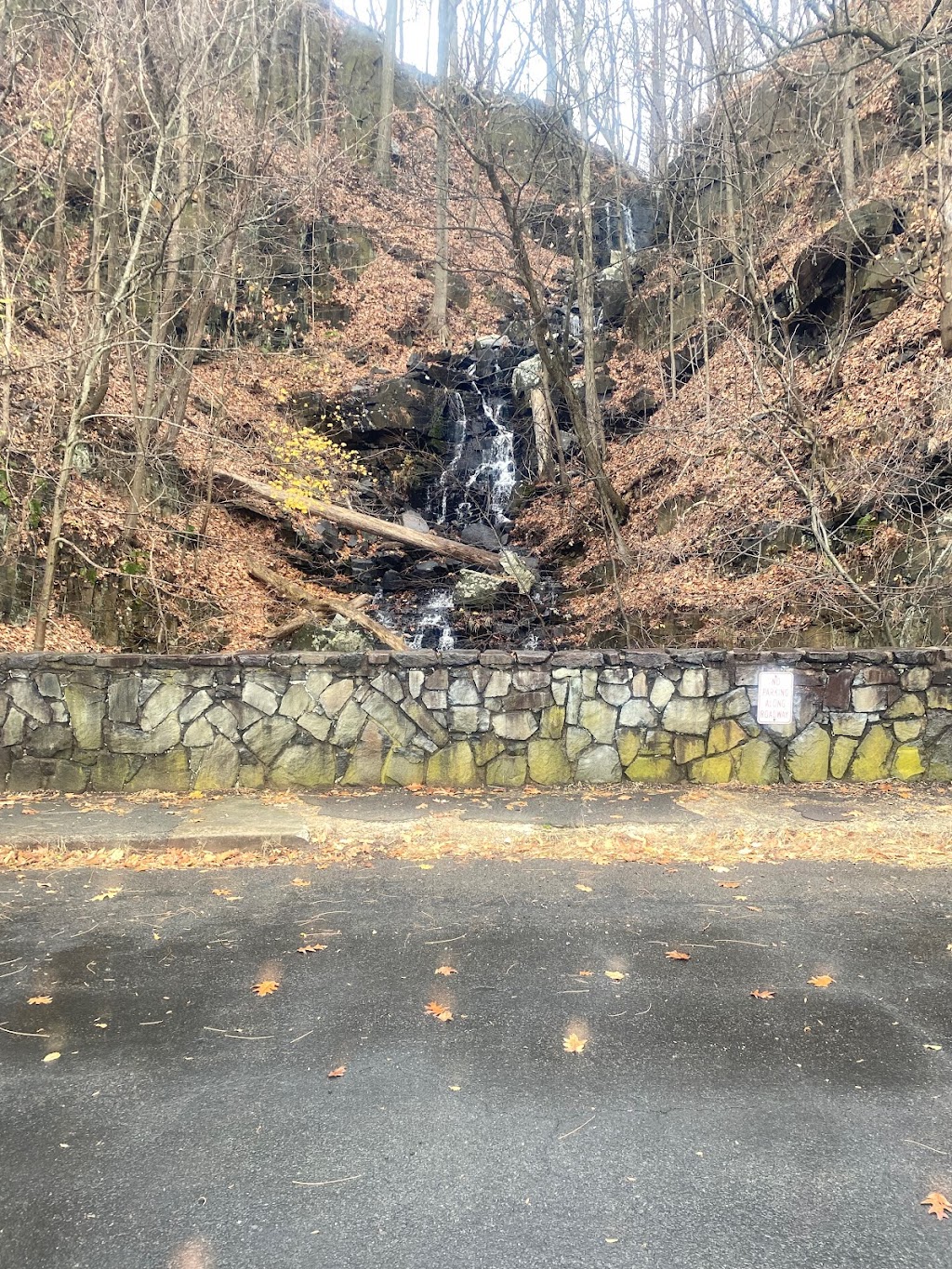 Green Brook Waterfall | Henry Hudson Dr, Alpine, NJ 07620 | Phone: (201) 784-0484