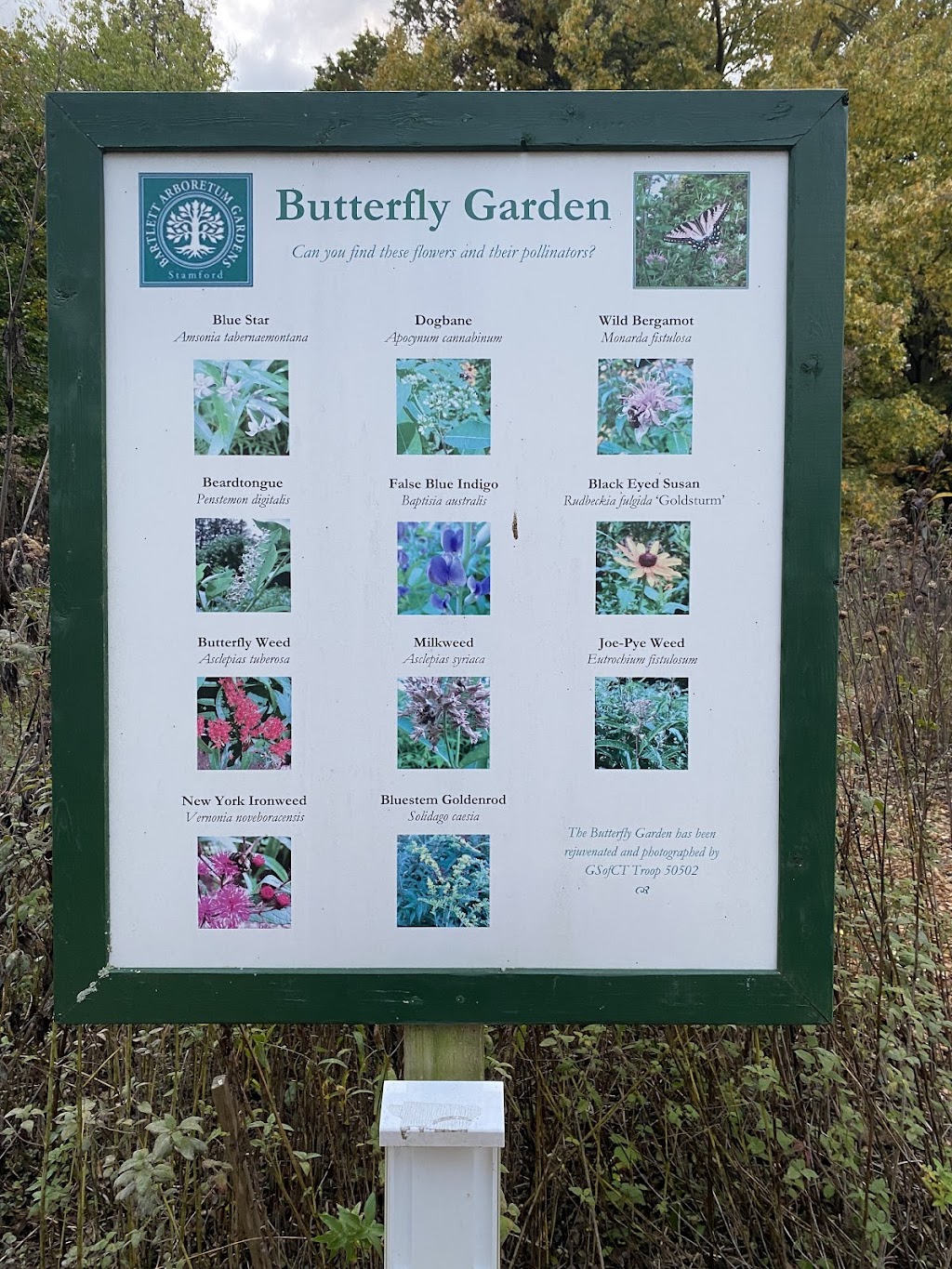 Butterfly Garden | The Bartlett Arboretum, Stamford, CT 06903 | Phone: (203) 322-6971