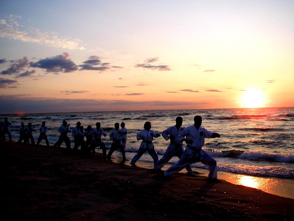 Rising Sun Karate Academy | 1256 Indian Head Rd # 30, Toms River, NJ 08755 | Phone: (732) 244-9494
