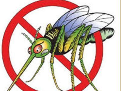 Mosquito Beaters | 27 Bay Ave, Middletown Township, NJ 07748 | Phone: (908) 461-1237